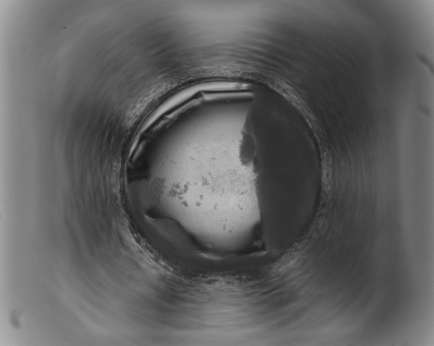 X0000099410434200805231608