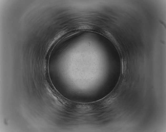 X0000099410435200805231608