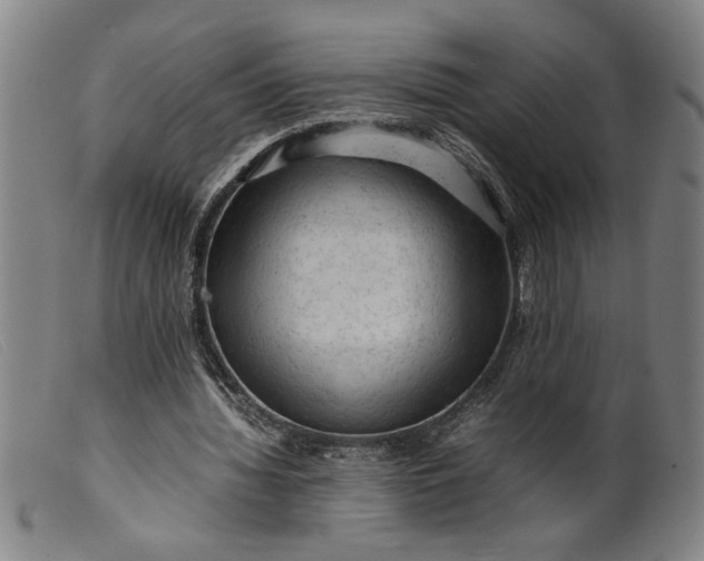 X0000099410436200805231608