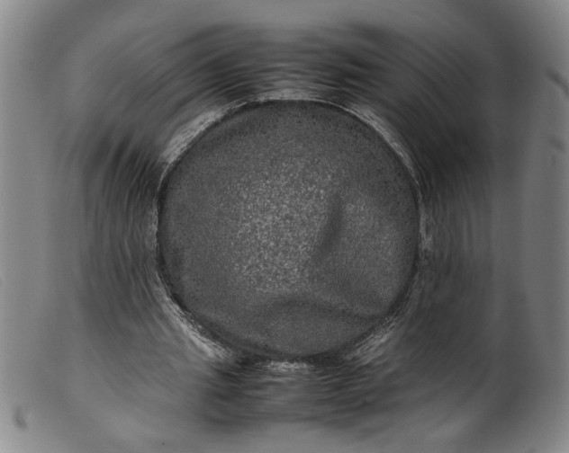 X0000099410437200805231608