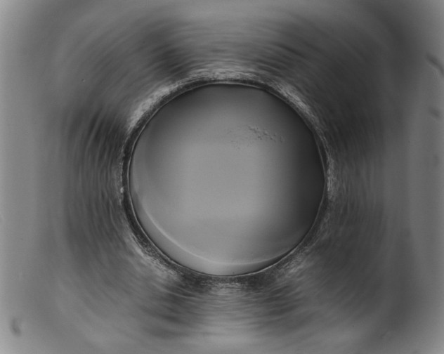 X0000099410438200805231608