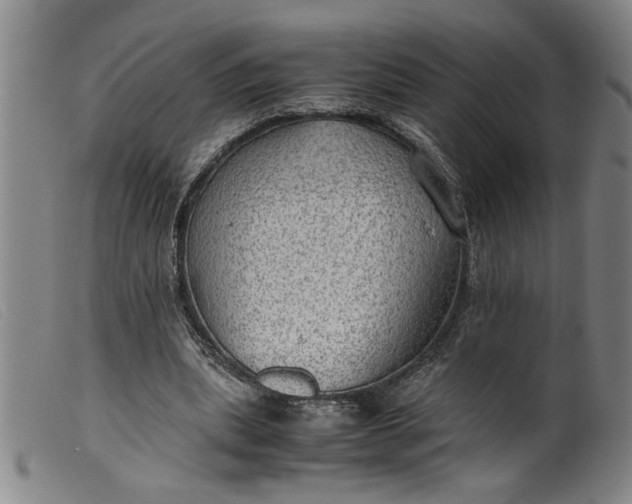 X0000099410439200805231608