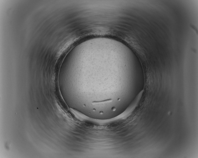 X0000099410440200805231608