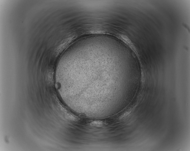 X0000099410441200805231608