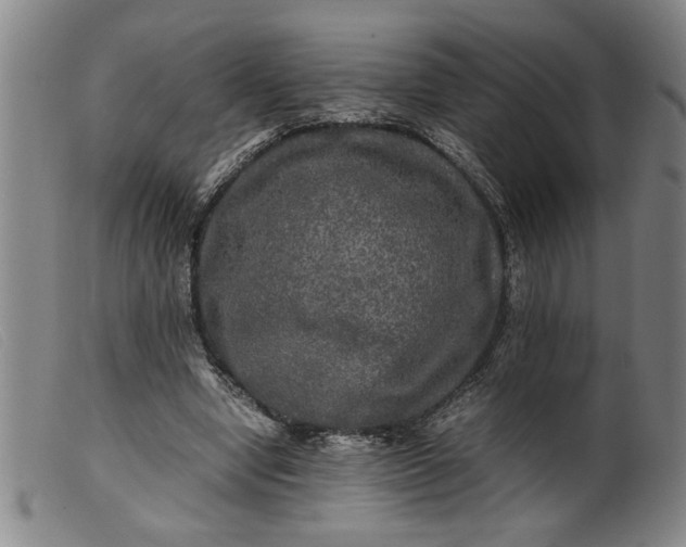 X0000099410442200805231608