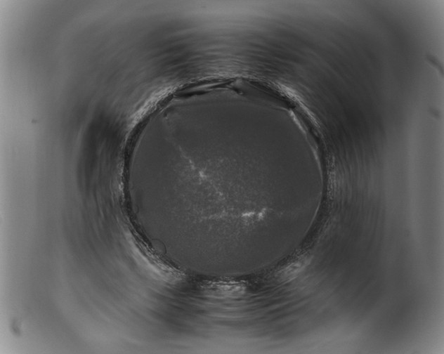 X0000099410443200805231608