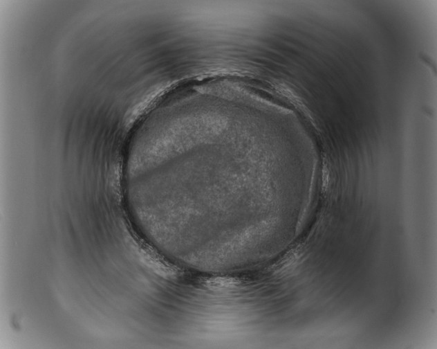 X0000099410444200805231608