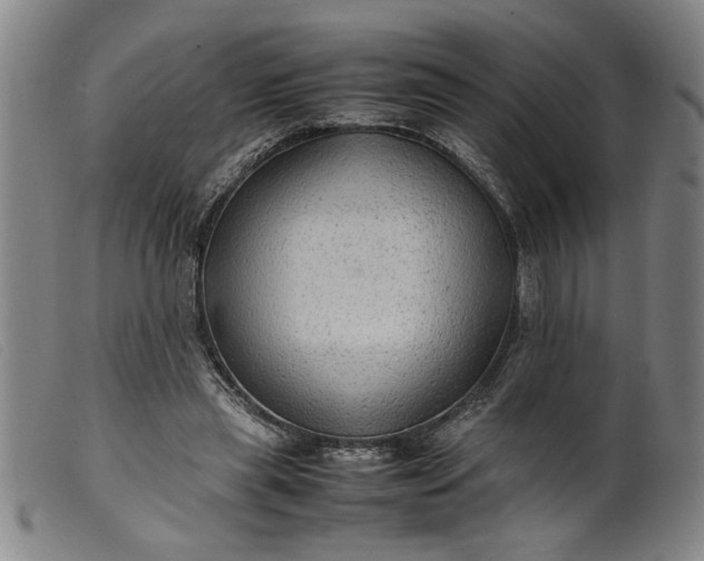 X0000099410445200805231608