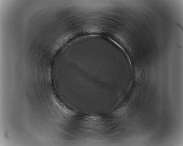 X0000099410447200805231608