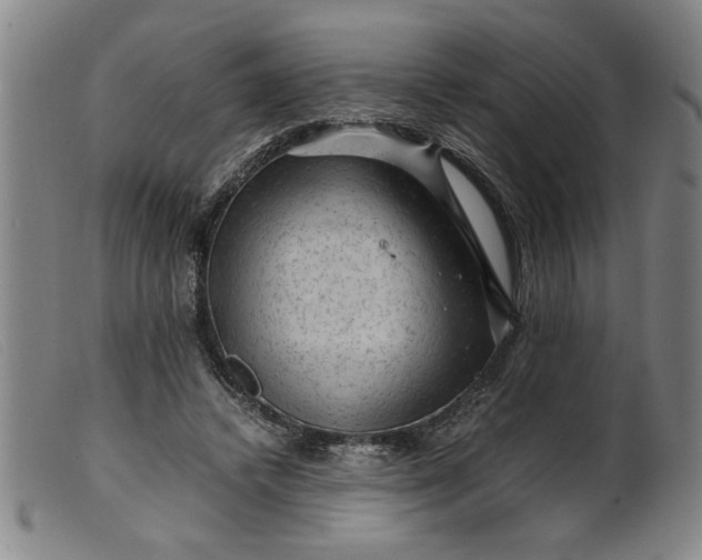 X0000099410448200805231608