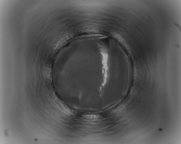 X0000099410449200805231608