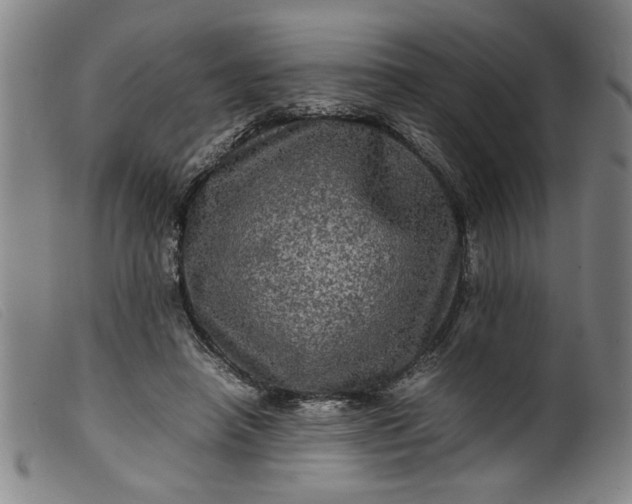 X0000099410450200805231608