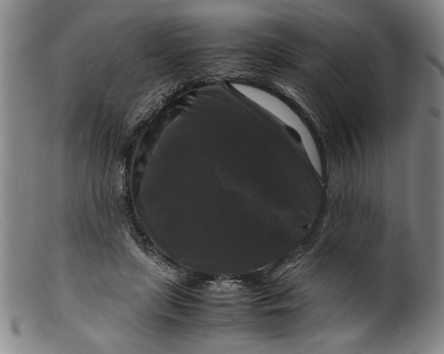 X0000099410451200805231608