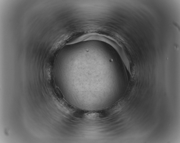 X0000099410452200805231608