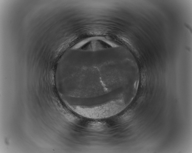 X0000099410453200805231608