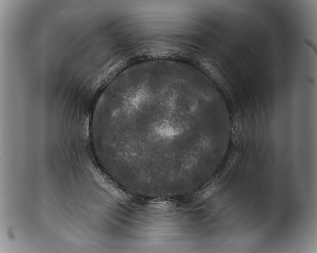 X0000099410454200805231608