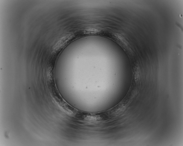 X0000099410455200805231608