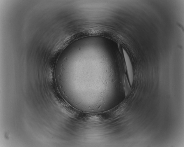 X0000099410456200805231608