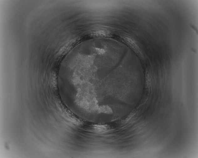 X0000099410457200805231608