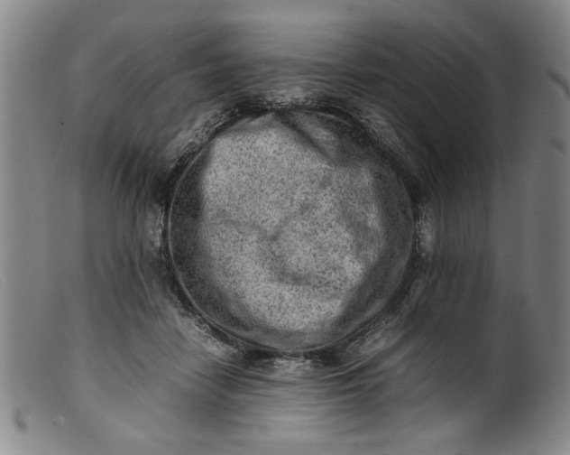 X0000099410458200805231608