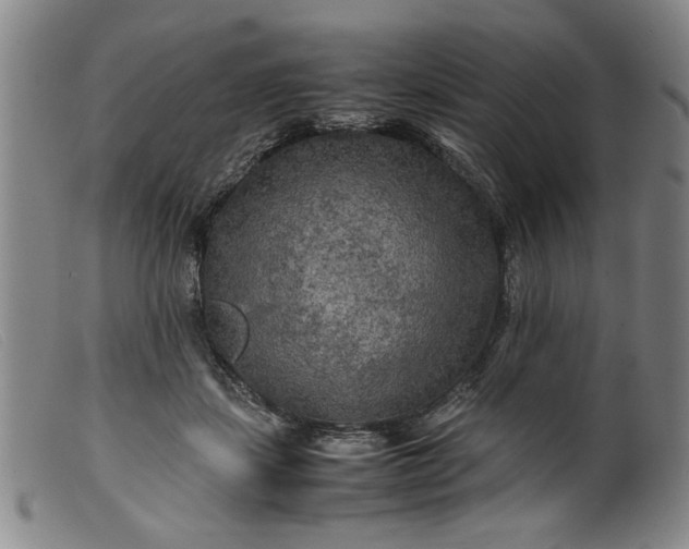 X0000099410459200805231608