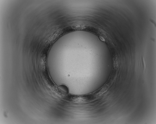 X0000099410460200805231608