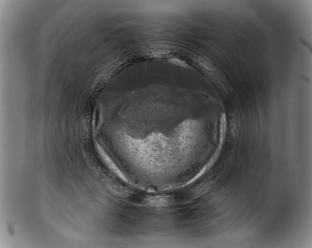 X0000099410461200805231608