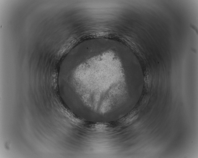 X0000099410462200805231608