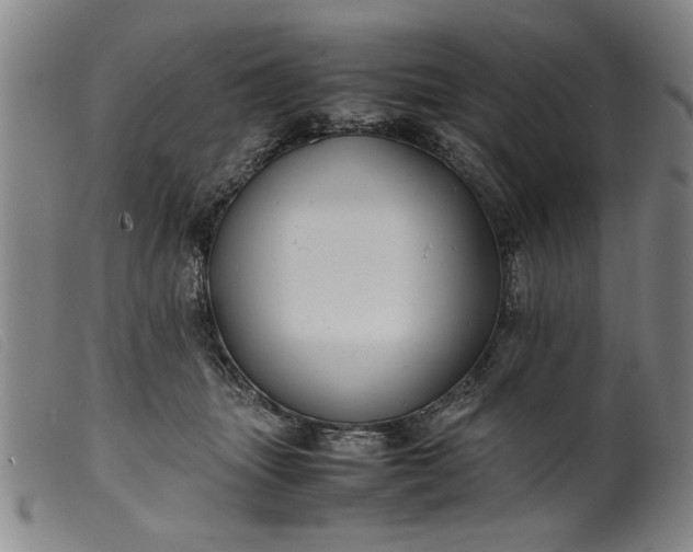 X0000099410463200805231608