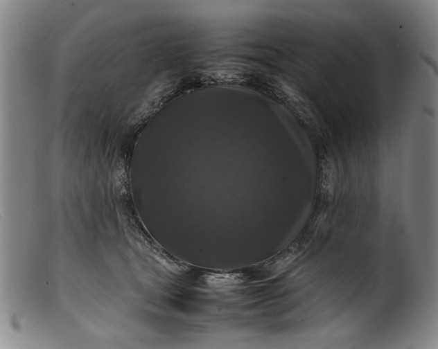 X0000099410465200805231608