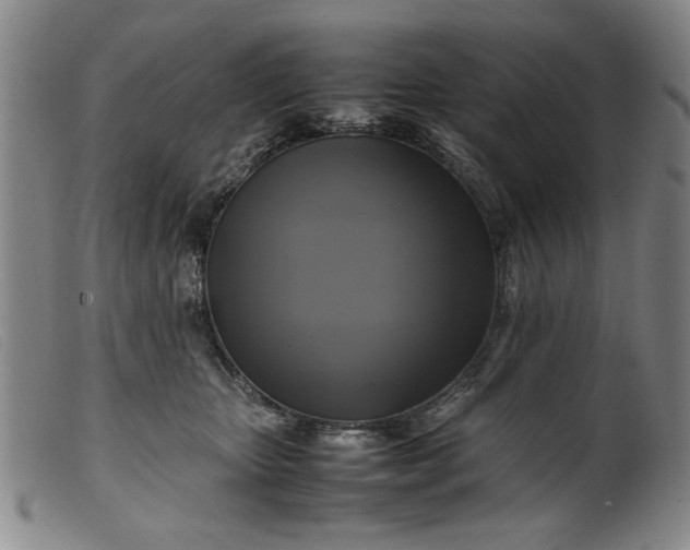 X0000099410467200805231609