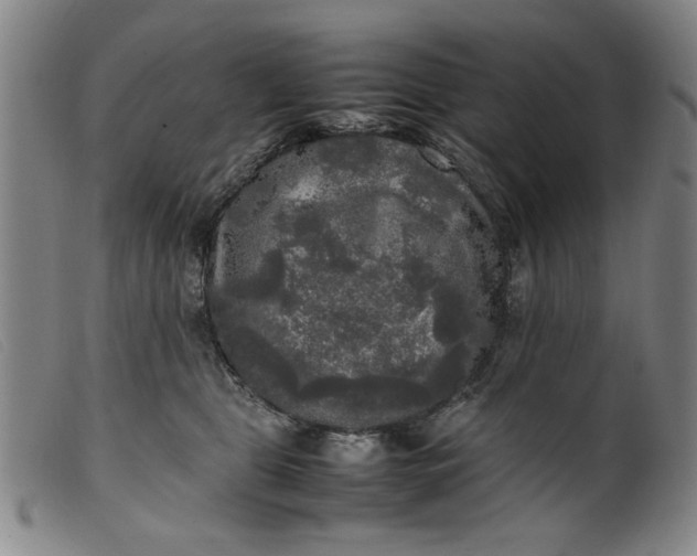 X0000099410469200805231609