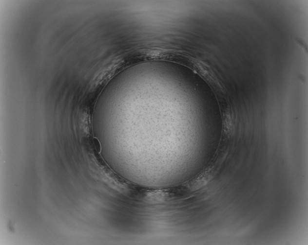 X0000099410470200805231609