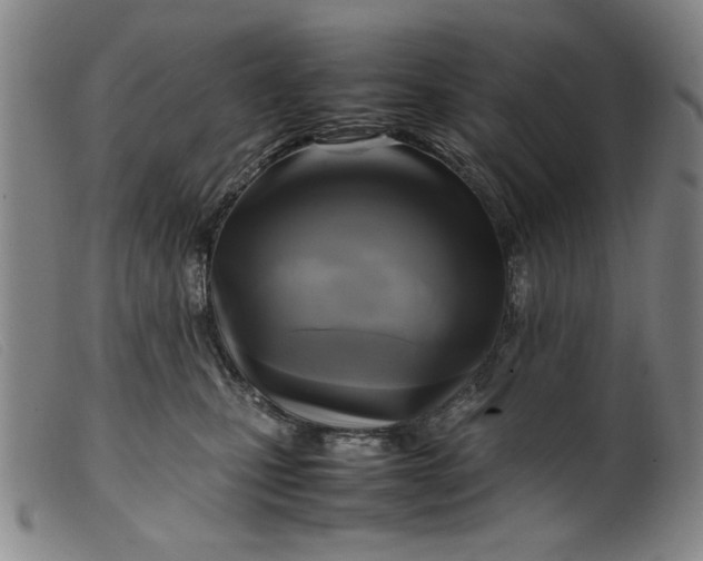 X0000099410471200805231609