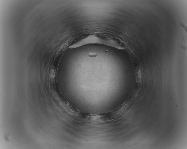 X0000099410472200805231609