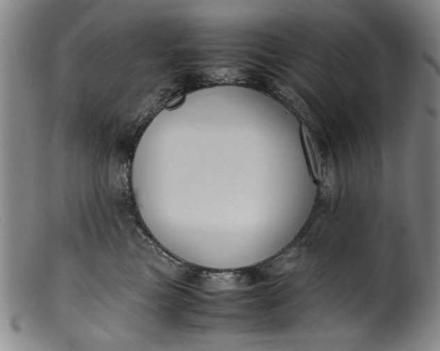 X0000099410473200805231609