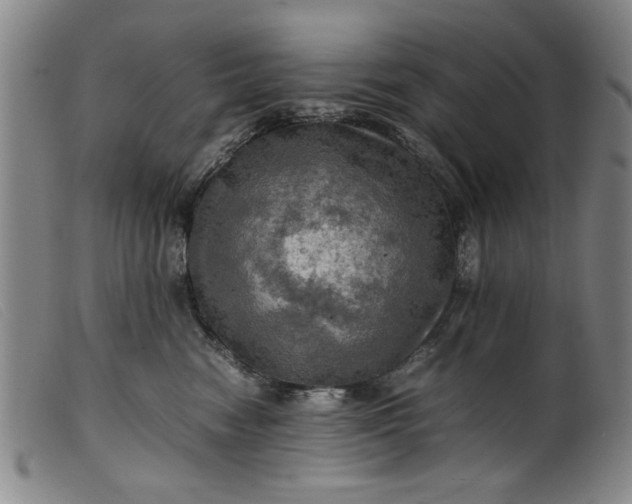 X0000099410474200805231609