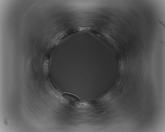 X0000099410475200805231609