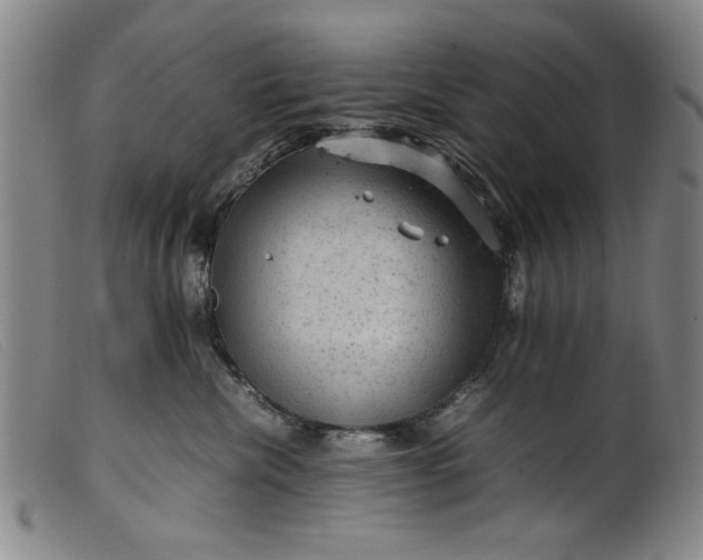 X0000099410476200805231609