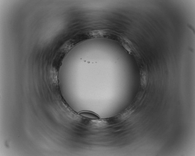 X0000099410477200805231609