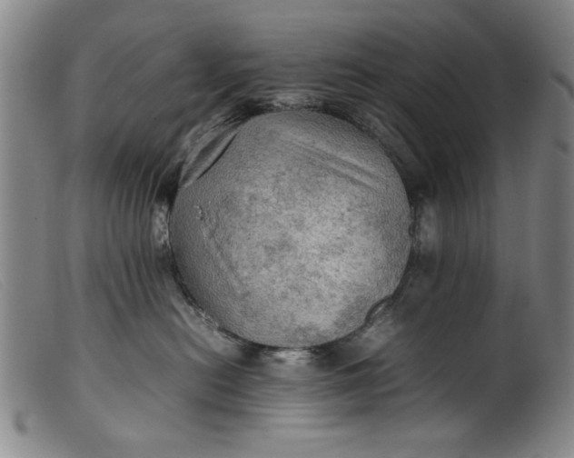 X0000099410478200805231609