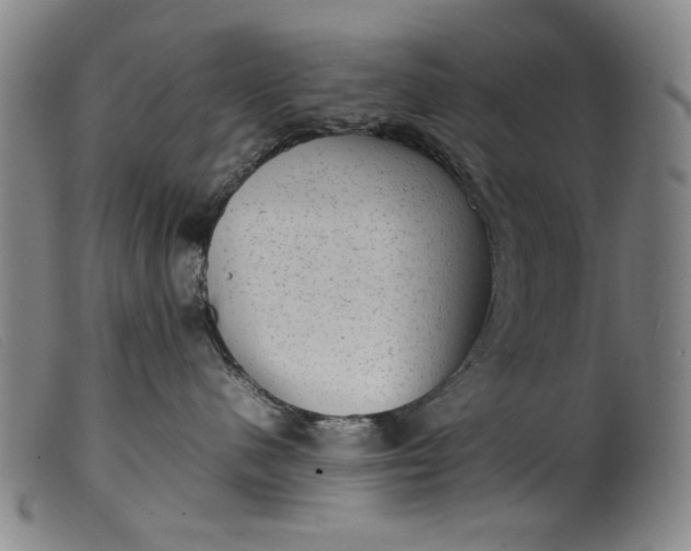 X0000099410480200805231609