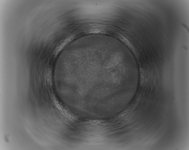 X0000099410482200805231608