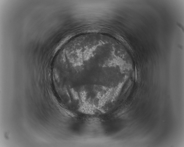 X0000099410483200805231608