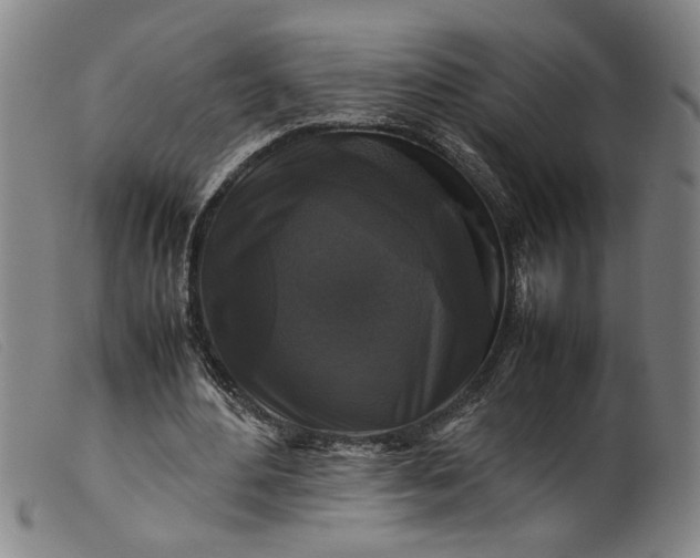 X0000099410484200805231608