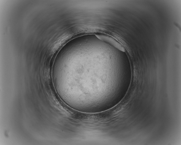 X0000099410485200805231608