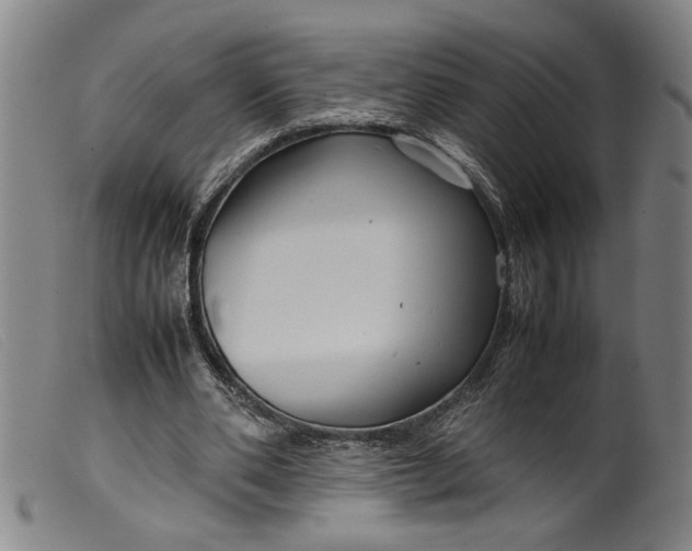 X0000099410486200805231608