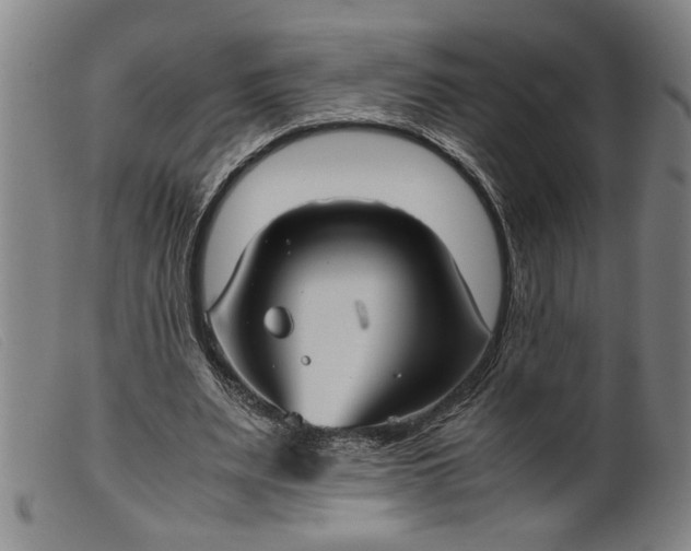 X0000099410487200805231608