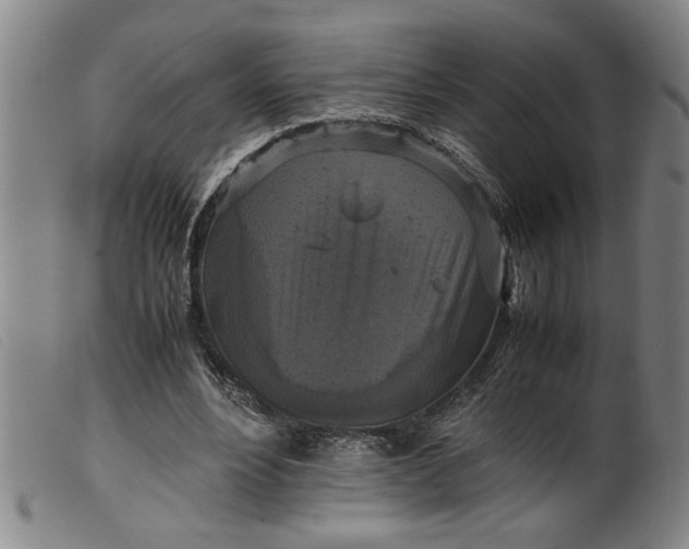 X0000099410488200805231608