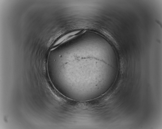 X0000099410489200805231608